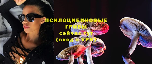 spice Алексин