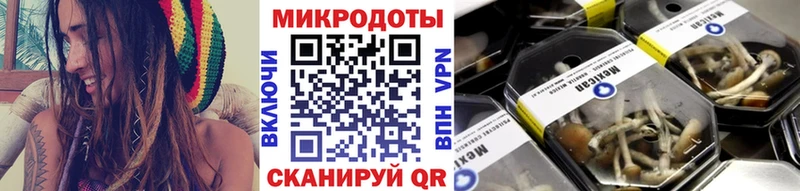 Галлюциногенные грибы MAGIC MUSHROOMS  купить   Ахтубинск 